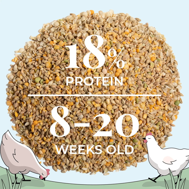 Grower Feed Kit | 12 Weeks of Organic Feed & Grit for 10 Pullets
