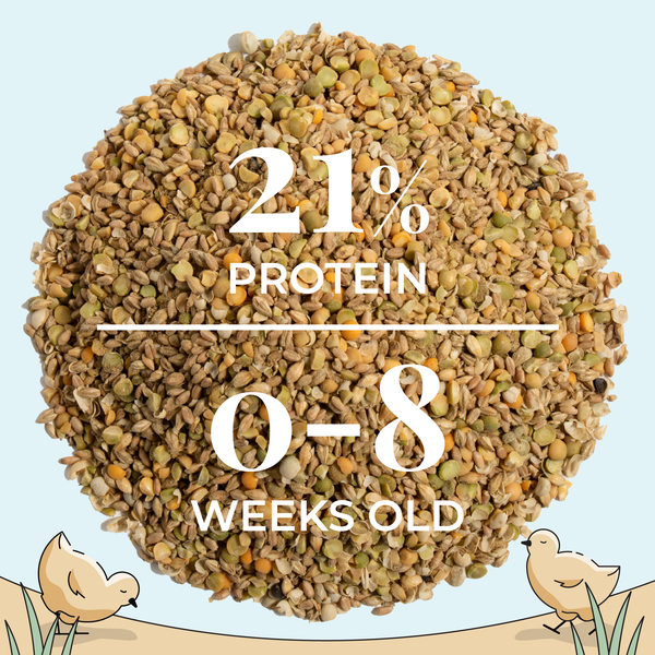 21% protein 0-8 weks old