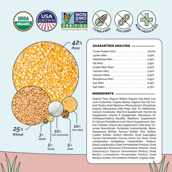 Whole Grain Layer, a nutrient-rich feed for laying hens' well-being.