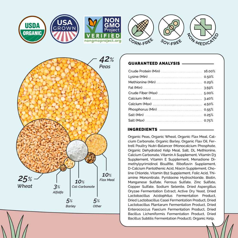 Whole Grain Layer, a nutrient-rich feed for laying hens' well-being.