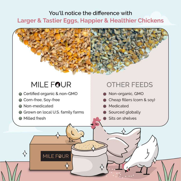 Whole Grain Layer Feed, featuring non-GMO ingredients for natural nutrition.