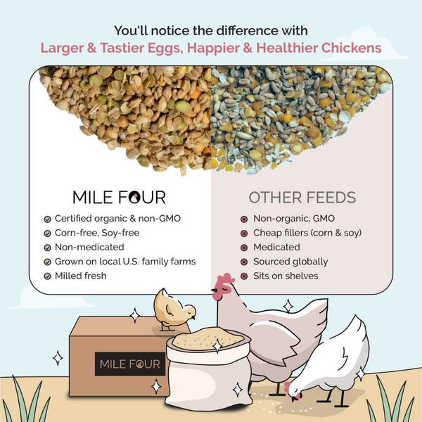 Larger & Tastier Eggs, Happier & Healthier Chickens