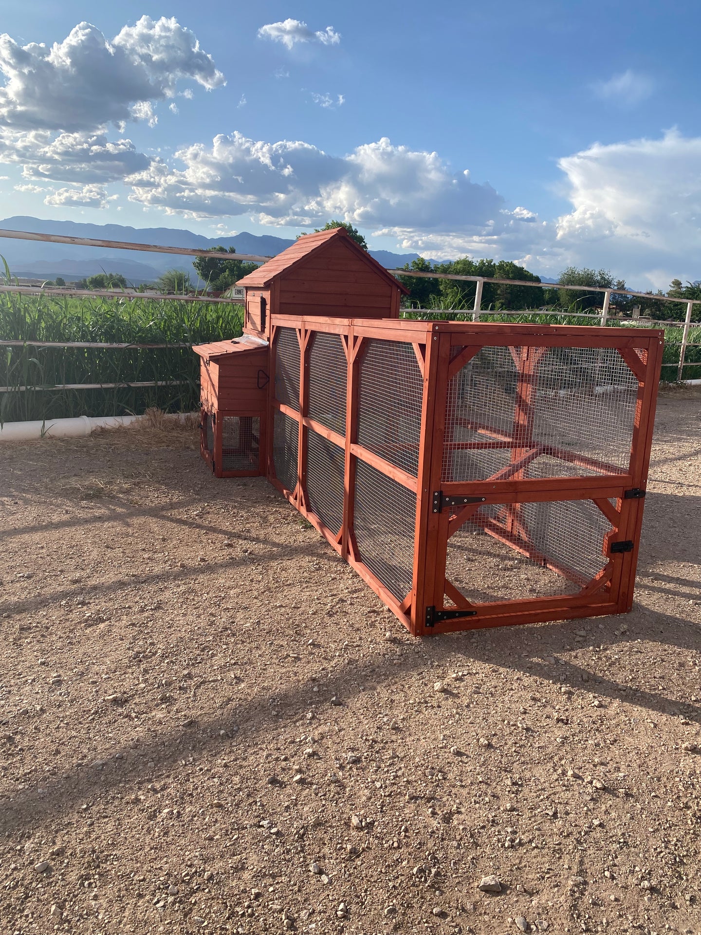 Orpington Lodge Chicken Coop and Run 6+ Chicken. IN STOCK!!