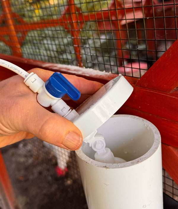Continuous Chicken Waterer Conversion Cap for Waterers