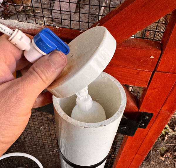 Continuous Chicken Waterer Conversion Cap for Waterers