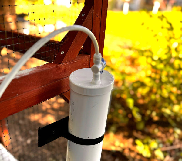Continuous Chicken Waterer Conversion Cap for Waterers