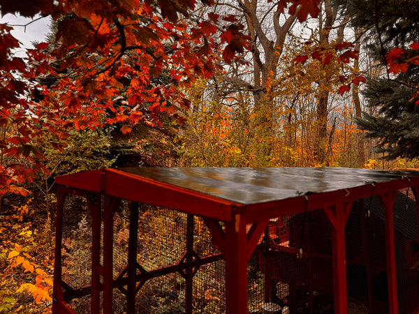 Vinyl Roof for 6x8 Brahma Run Extension