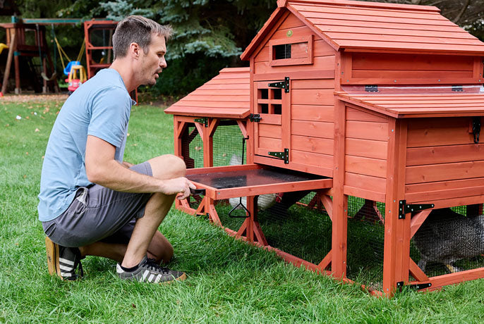 Leghorn Carousel Chicken Coop with dual pull-out cleaning trays; red-stained wood and elevated house for easy maintenance.