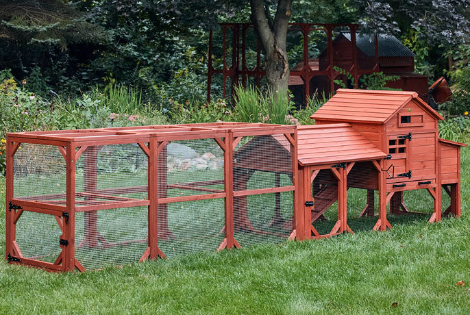 Leghorn Carousel Chicken Coop with Extra-Long Run Extension; 15ft+ of secure foraging space, red-stained wood, and dual cleaning trays.
