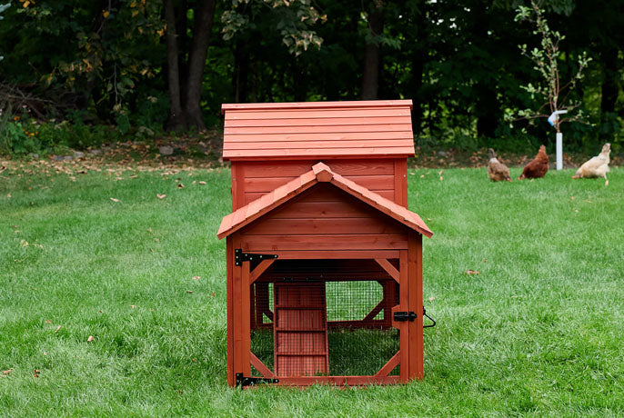 Red wooden chicken coop with integrated wire run and internal ramp for 2-4 small backyard chickens.