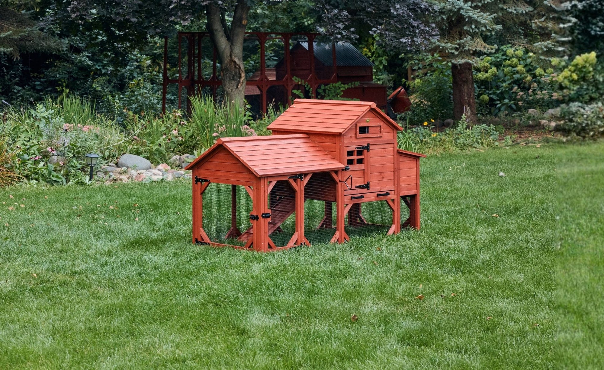 Compact Leghorn chicken coop with ramp access and attached run showing smaller footprint design for suburban backyard chicken keeping