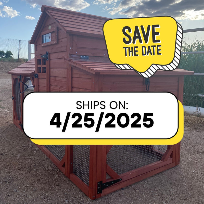 Chicken Coop for 4+ Chickens – Leghorn Cottage Chicken Coop
