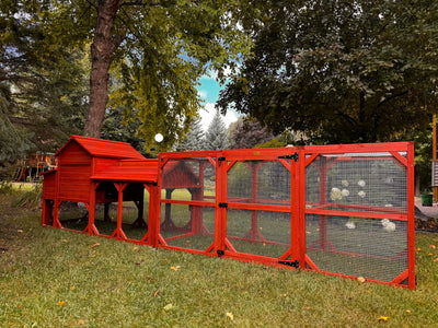 Leghorn Cottage Coop with run extension: red wooden hen house, nesting boxes, spacious wire-enclosed run, predator-resistant backyard setup.