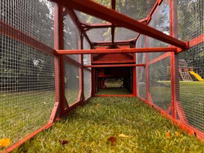 Leghorn Cottage Coop with run extension: red wooden hen house, nesting spaces, spacious wire run, predator-resistant design with foliage.