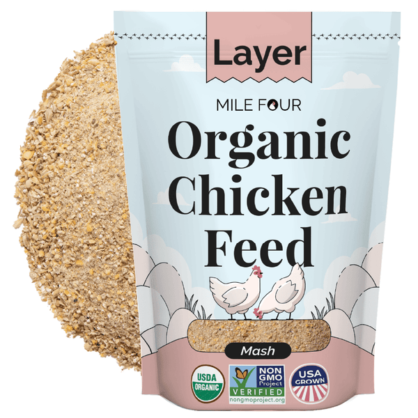 With grit, chickens can "chew" & breakdown feed so their body can absorb the nutrients they need to be healthy & produce larger eggs more consistently.