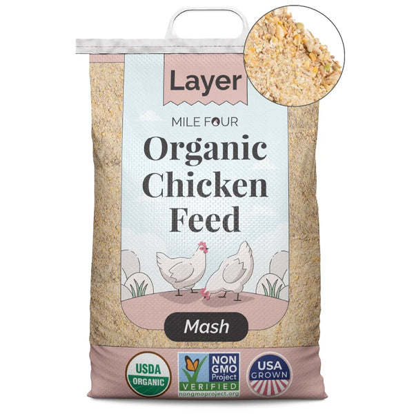 Mash Layer Organic Chicken Feed
