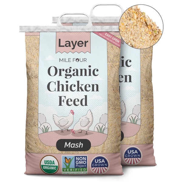 Larger & Tastier Eggs, Happier & Healthier Chickens