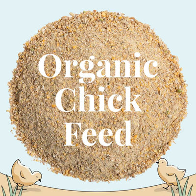 Organic Chick Feed Mash Starter