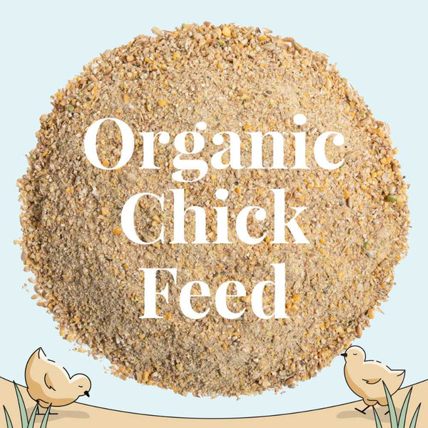 Organic Chick Feed Mash Starter
