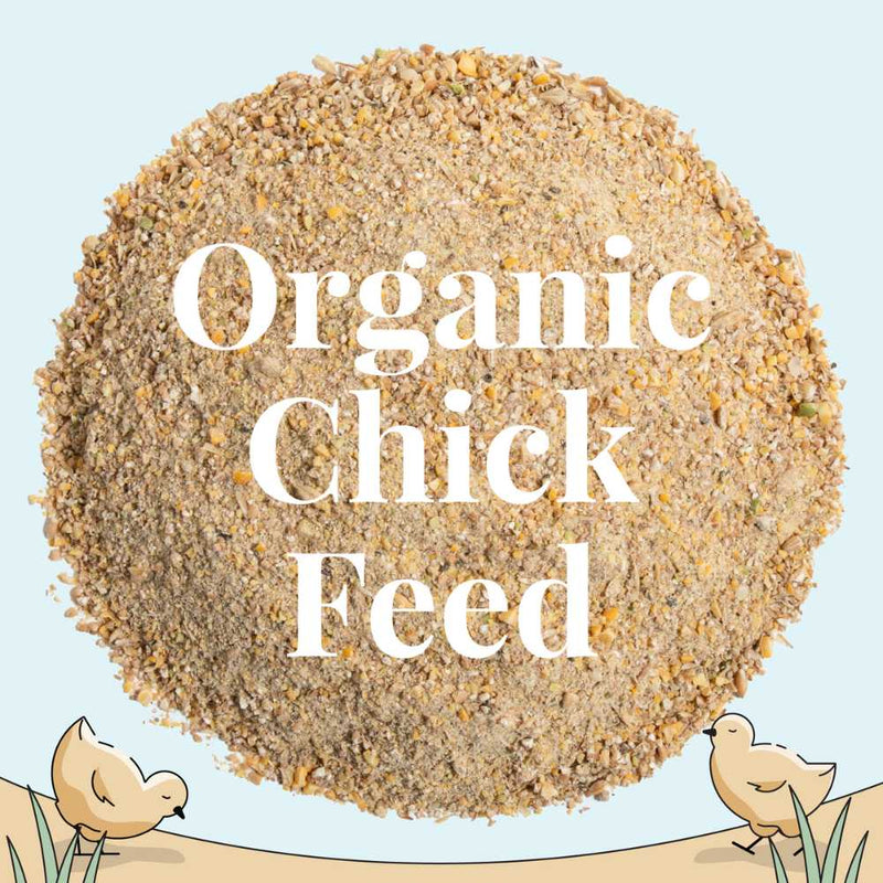 Organic Chick Feed Mash Starter