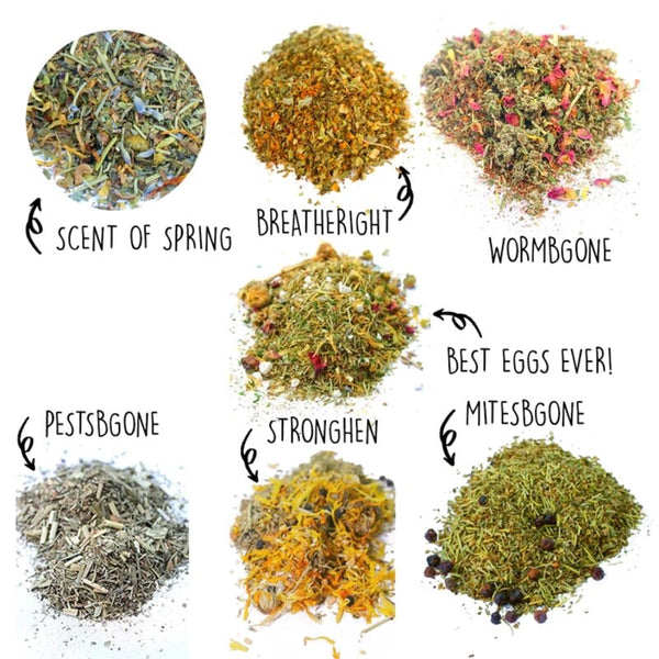 Nesting Herb Starter Bundle 7 Different Nesting Coop Herbs 1