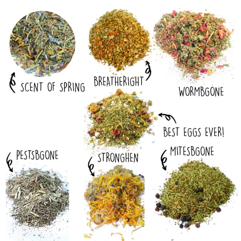 Nesting Herb Starter Bundle 7 Different Nesting Coop Herbs 1