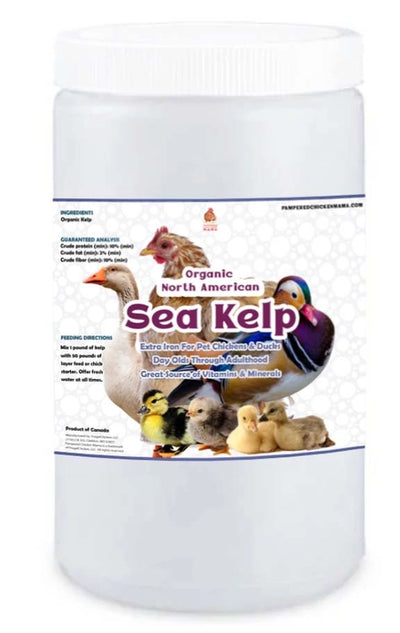 Sea Kelp For Extra Vitamins, Minerals, & Amino Acids For Pet Chickens & Ducks