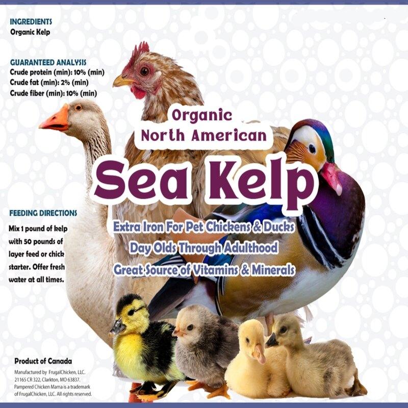 North Atlantic Kelp For Extra Vitamins Minerals  Amino Acids For Pet Chickens Ducks