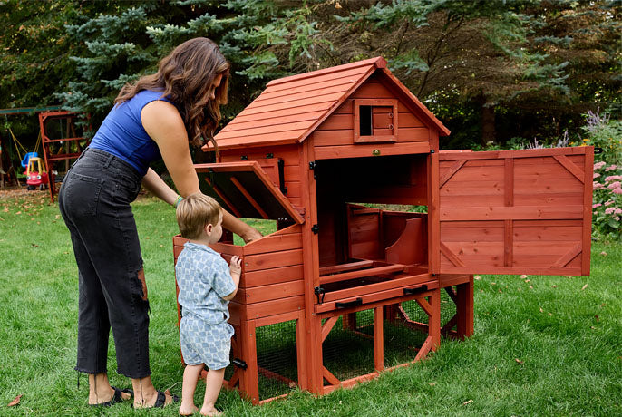 Orpington Lodge Chicken Coop with Run Options for 6 Chickens