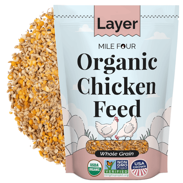 Chickens are picky eaters, choose from 3 feed types; Whole Grain (natural textures, ideal as chickens are visual eaters), Pellet (reduces waste & provides uniformity), Mash (best for & fermenting; may lead to messy eating)