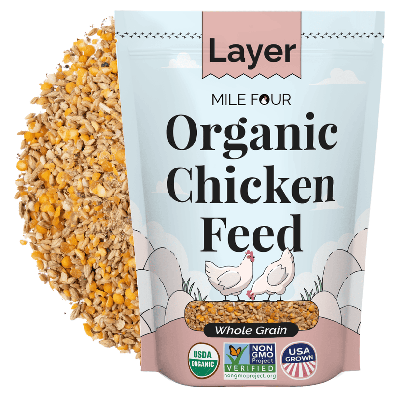 Chickens are picky eaters, choose from 3 feed types; Whole Grain (natural textures, ideal as chickens are visual eaters), Pellet (reduces waste & provides uniformity), Mash (best for & fermenting; may lead to messy eating)