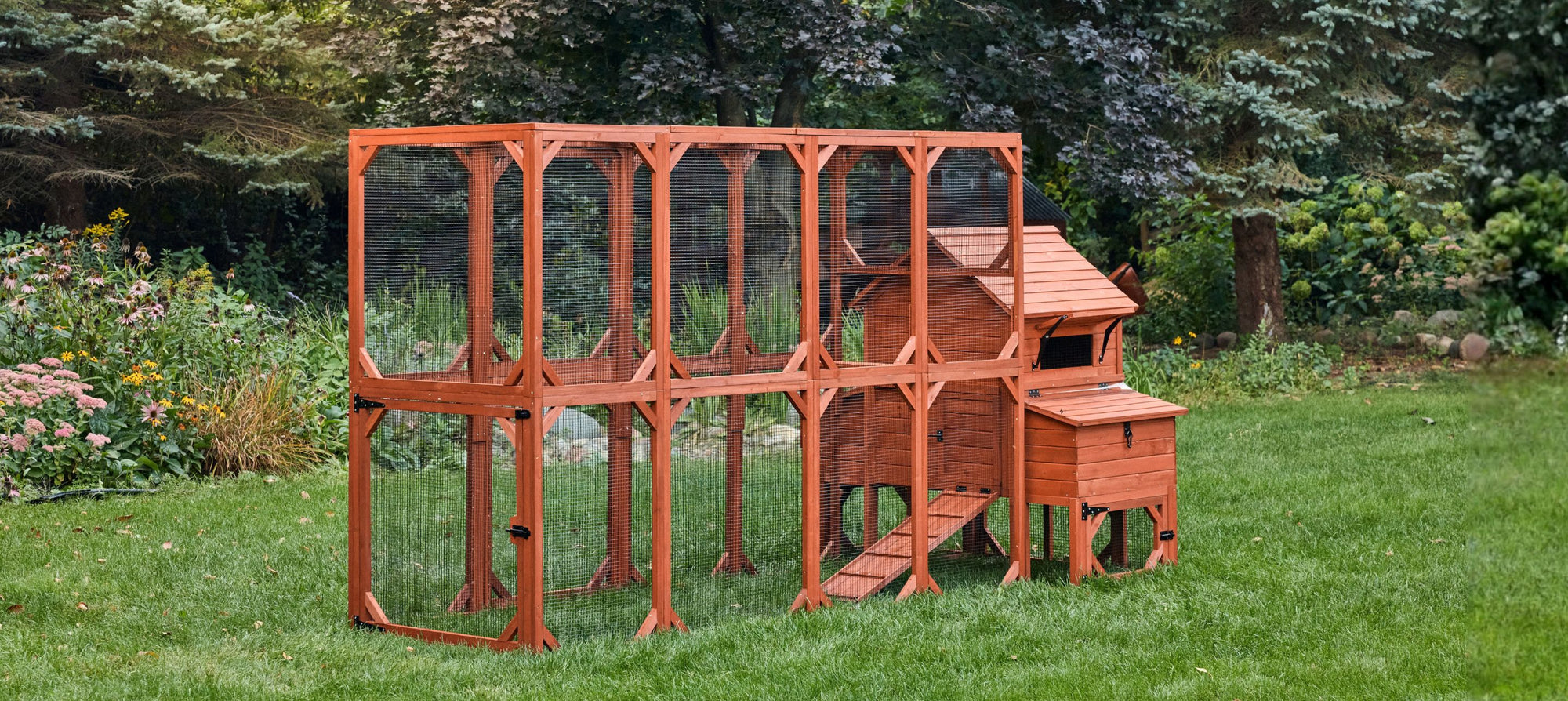 Large wooden chicken coop with expansive multi-panel run showing elevated design and ramp access for backyard flock housing with maximum outdoor space
