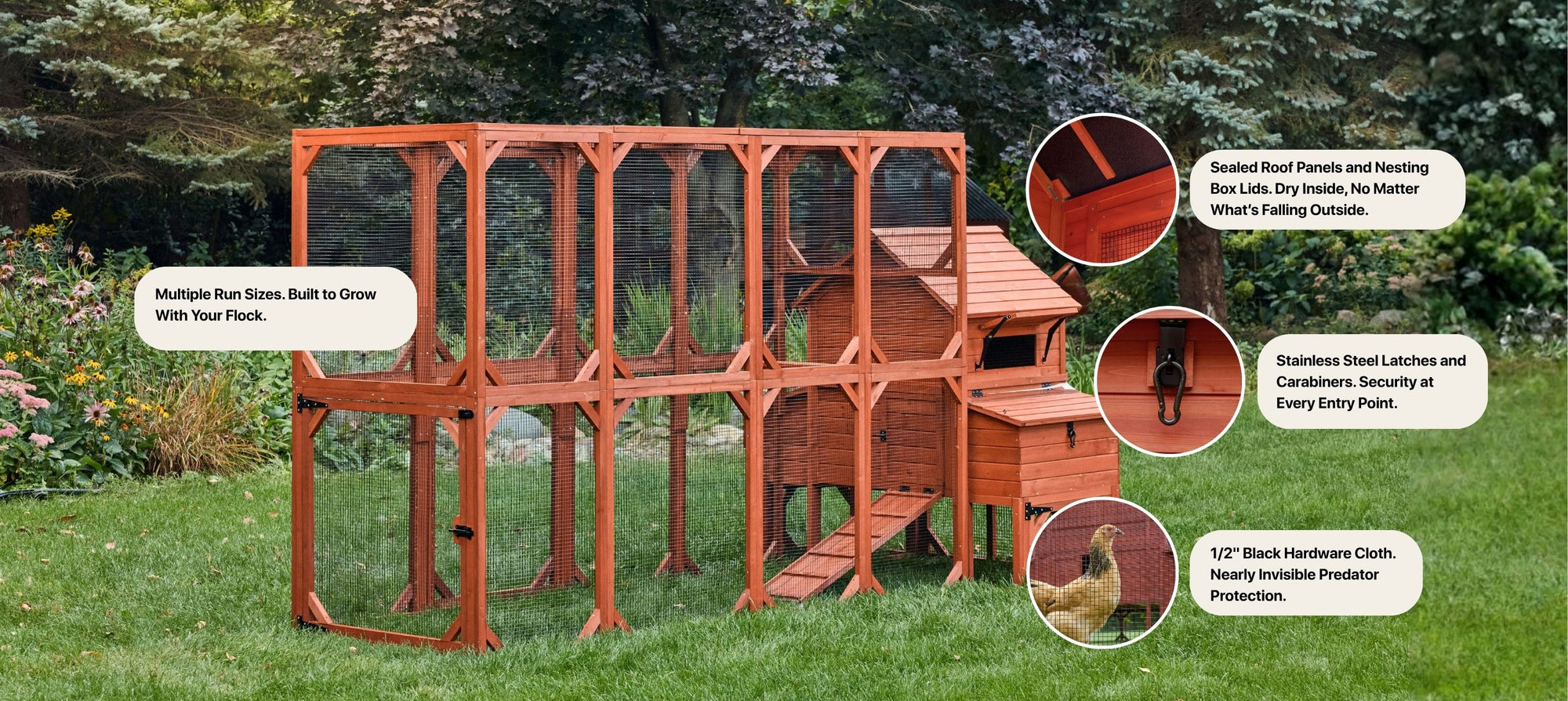 Large chicken coop with predator-resistant mesh and covered nesting boxes for egg-laying comfort