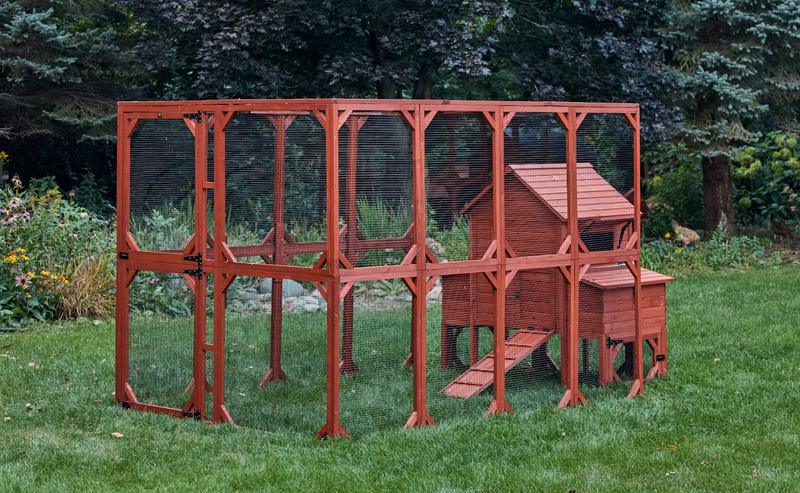 Orpington Lodge Chicken Coop with Run Options for 6 Chickens Orpington Lodge Chicken Coop with Run Options for 6 Chickens