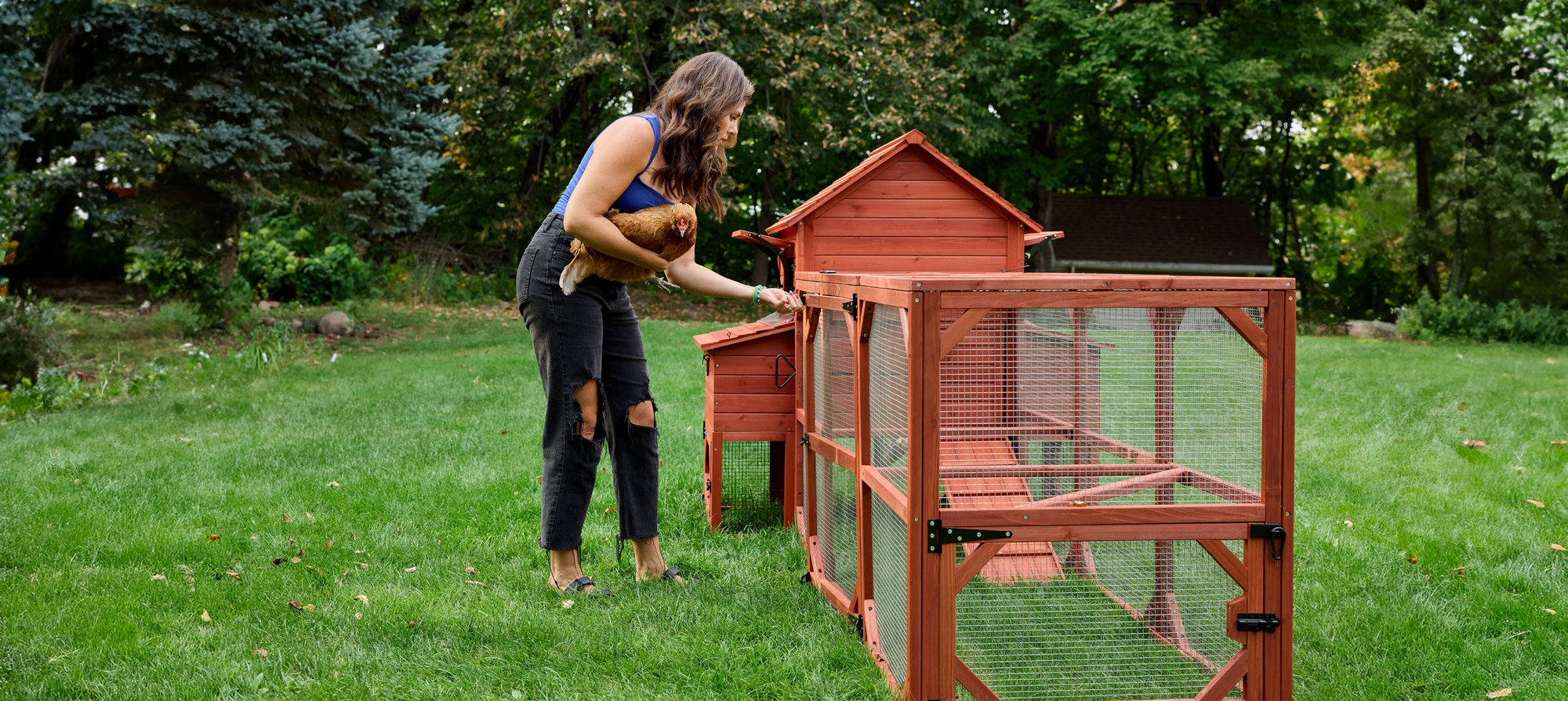 BUNDLE: Orpington Lodge Chicken Coop for 6+ Chickens + Run + Roof BUNDLE: Orpington Lodge Chicken Coop for 6+ Chickens + Run + Roof
