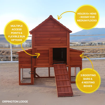 Orpington Chicken coop infographic