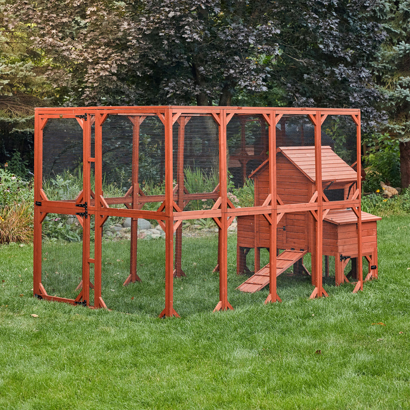 Chicken Coop for 6 Chickens – Orpington Lodge