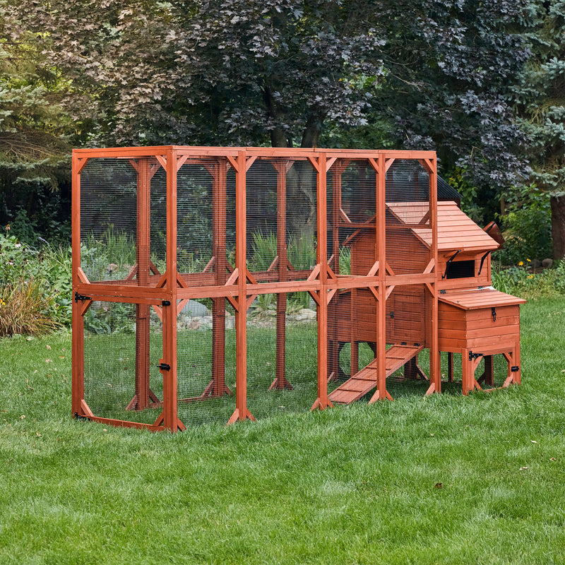 Chicken Coop for 6 Chickens – Orpington Lodge