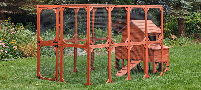 Chicken Coop for 6 Chickens – Orpington Lodge