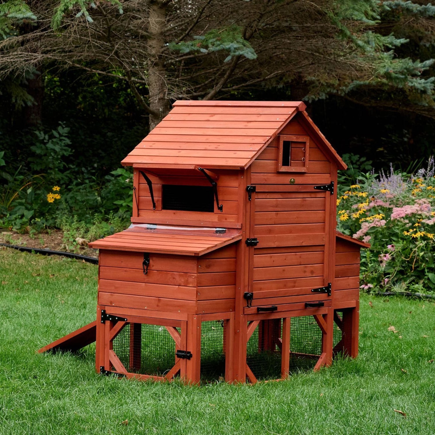 Chicken Coop for 6 Chickens – Orpington Lodge