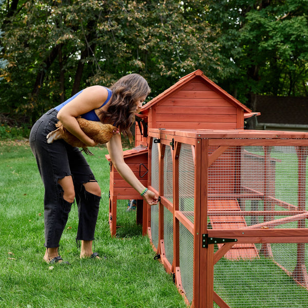 BUNDLE: Orpington Lodge Chicken Coop + Run Extension + Run Roof