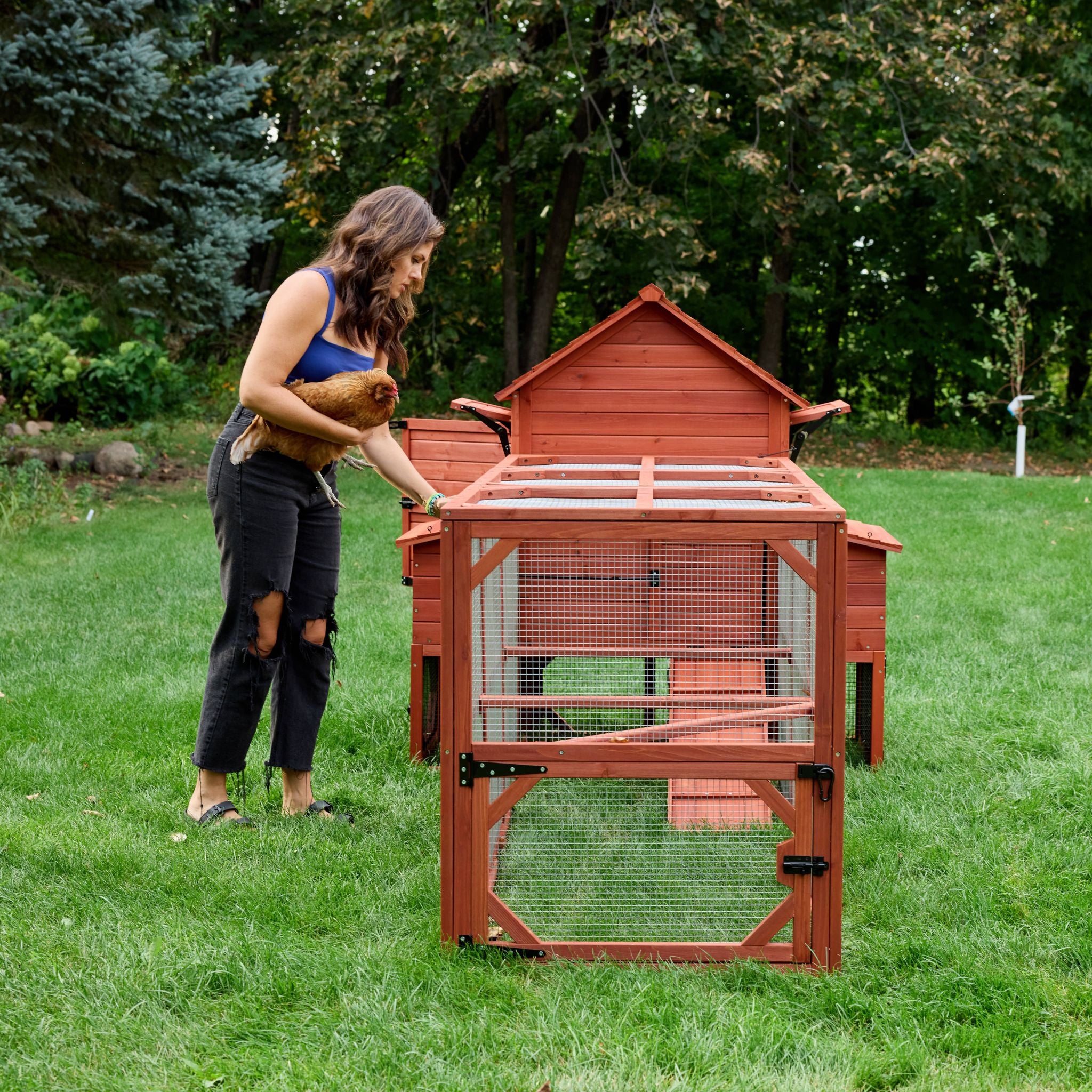 Chicken Coop for 6 Chickens – Orpington Lodge