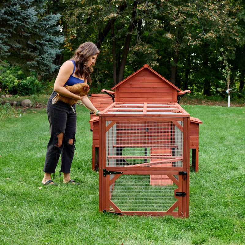 BUNDLE: Orpington Lodge Chicken Coop + Run Extension + Run Roof