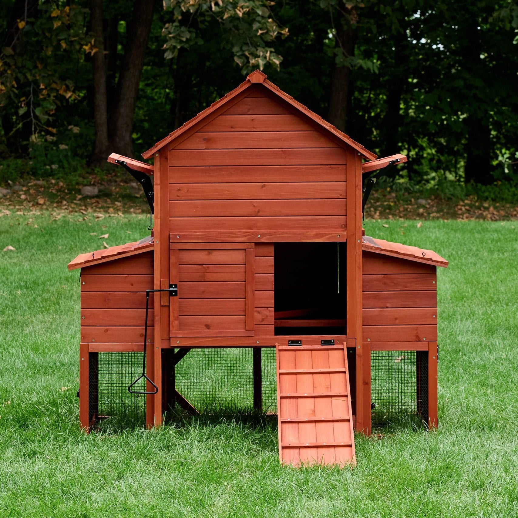 Chicken Coop for 6 Chickens – Orpington Lodge