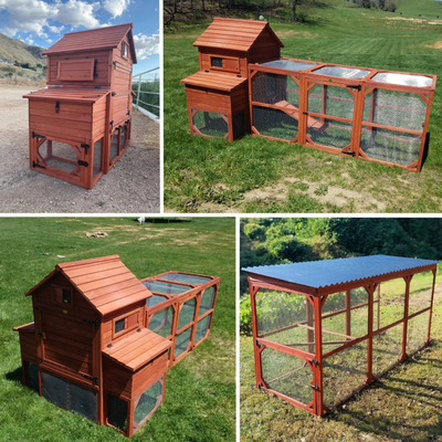 BUNDLE: Orpington Lodge Chicken Coop + Run Extension + Run Roof