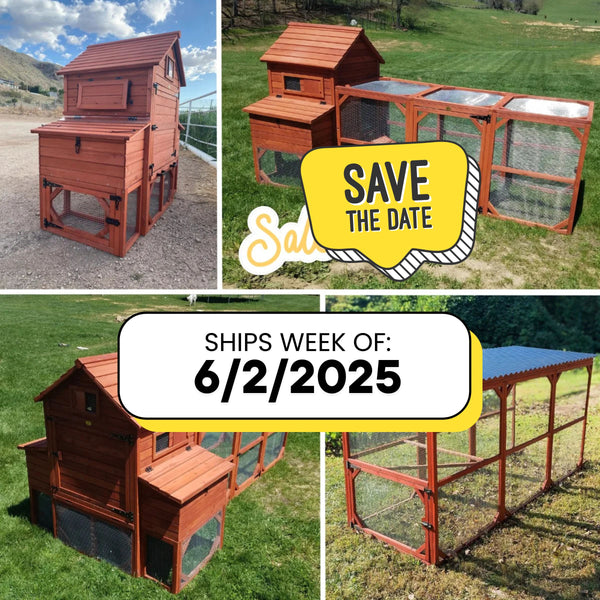 Orpington chicken coop bundle with attached run and roof, perfect for 6–12 backyard chickens