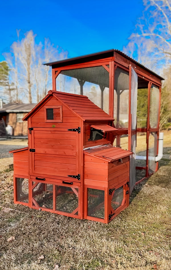 Orpington Lodge Chicken Coop with enclosed run, suitable for 6–12 backyard chickens