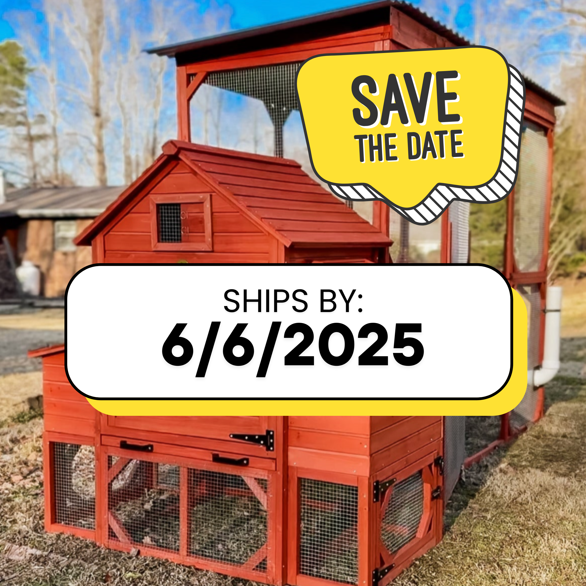 Orpington Lodge Chicken Coop with Run for 6+ Chickens