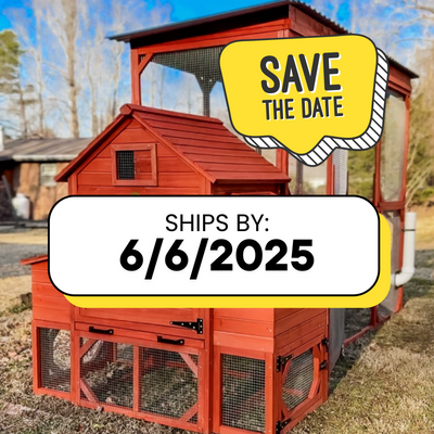 Orpington Lodge Chicken Coop with Run for 6+ Chickens