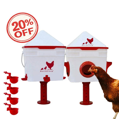 RentACoop Chick2Chicken 10lb Feeder & 2 Gal Waterer Set